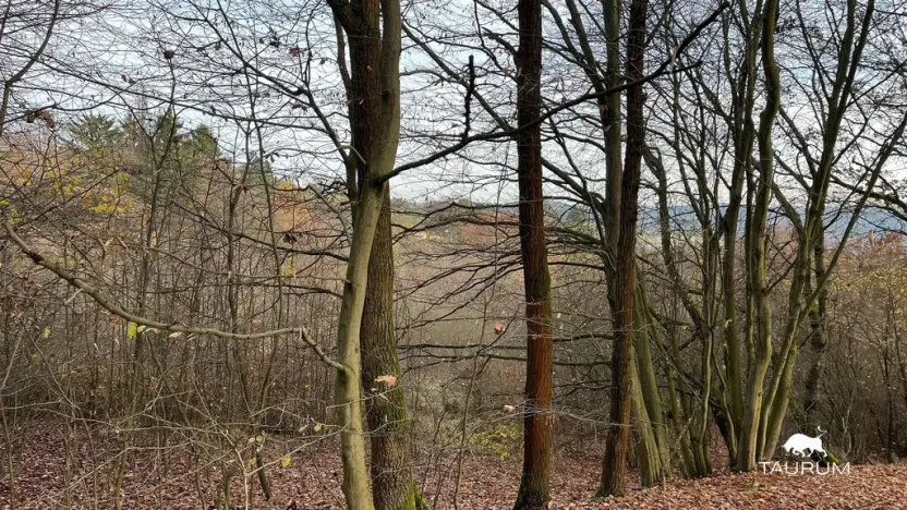 Prodej pozemku, Jílové u Prahy, 3438 m2