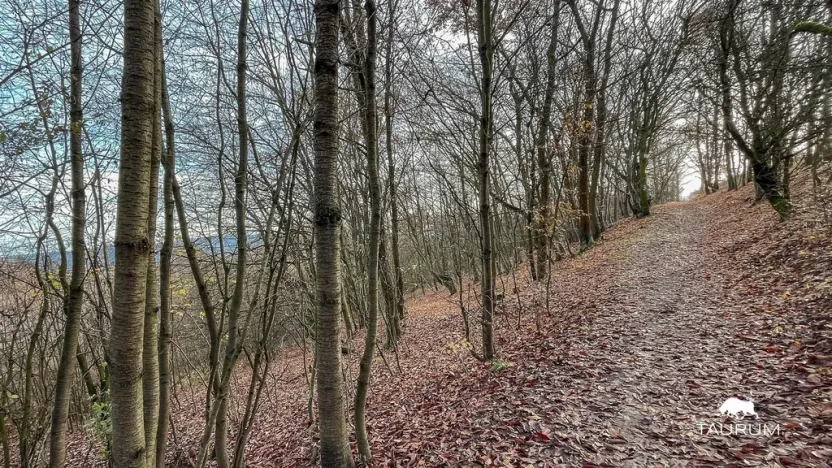 Prodej pozemku, Jílové u Prahy, 3438 m2