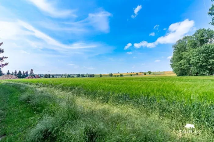 Prodej pozemku pro bydlení, Chodouň, 13216 m2