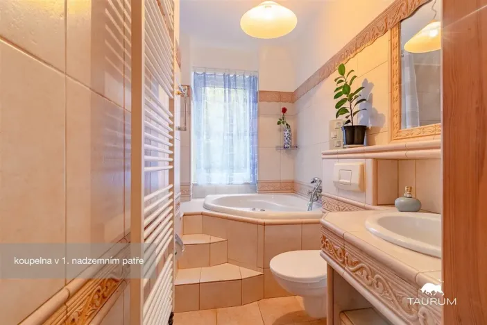 Prodej rodinného domu, Horšovský Týn - Velké Předměstí, Na stráni, 342 m2