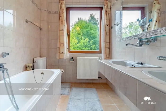 Prodej rodinného domu, Horšovský Týn - Velké Předměstí, Na stráni, 342 m2