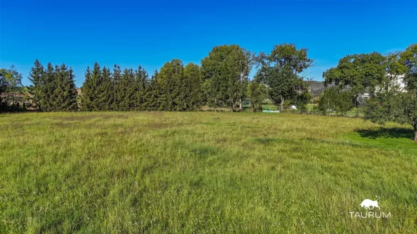 Prodej pozemku pro bydlení, Chodouň, 6455 m2