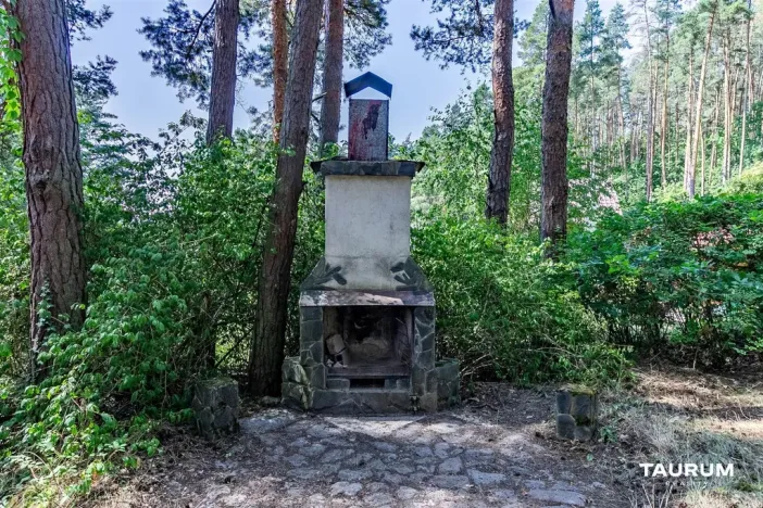 Prodej chaty, Stříbro - Butov, 73 m2