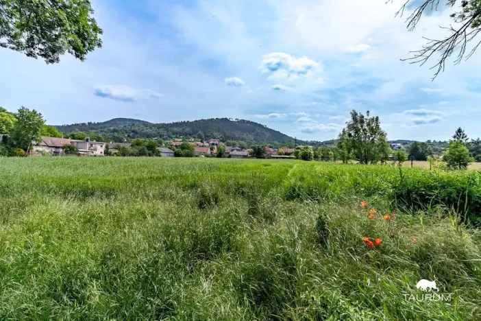 Prodej pozemku pro bydlení, Chodouň, 6761 m2