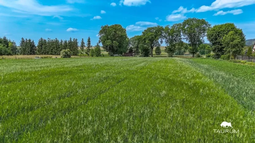 Prodej pozemku pro bydlení, Chodouň, 6761 m2