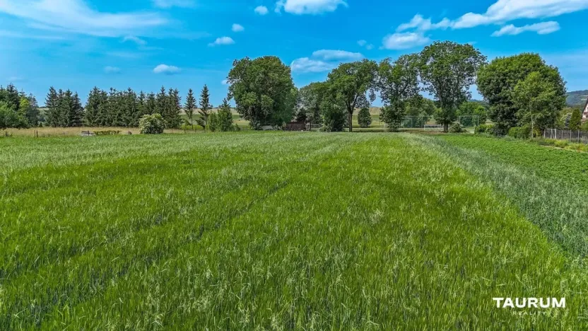 Prodej pozemku pro bydlení, Chodouň, 6761 m2