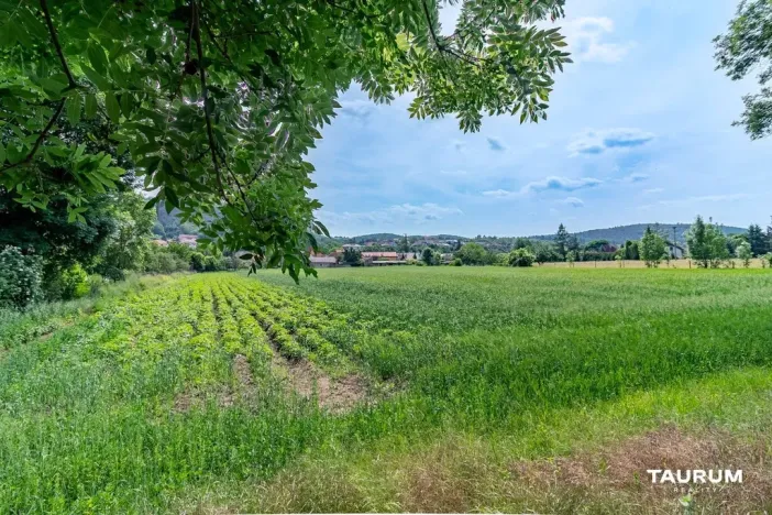 Prodej pozemku pro bydlení, Chodouň, 6761 m2