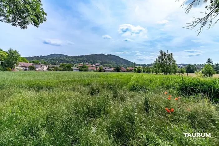 Prodej pozemku pro bydlení, Chodouň, 6761 m2