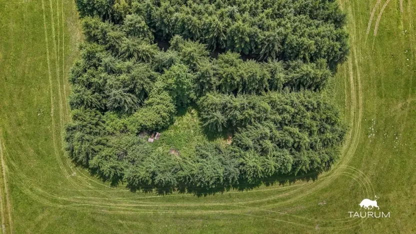 Prodej pozemku, Chudenín, 139968 m2