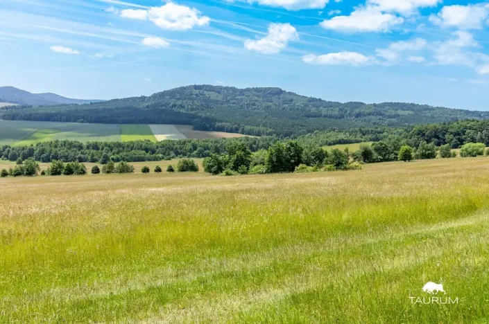 Prodej pozemku, Chudenín, 139968 m2