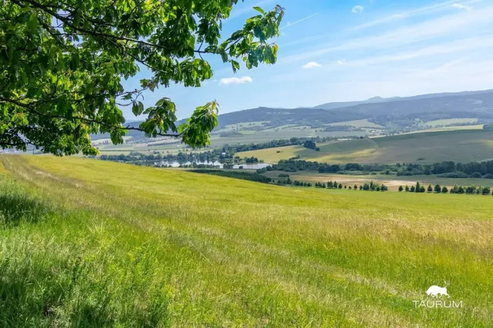 Prodej pozemku, Chudenín, 139968 m2