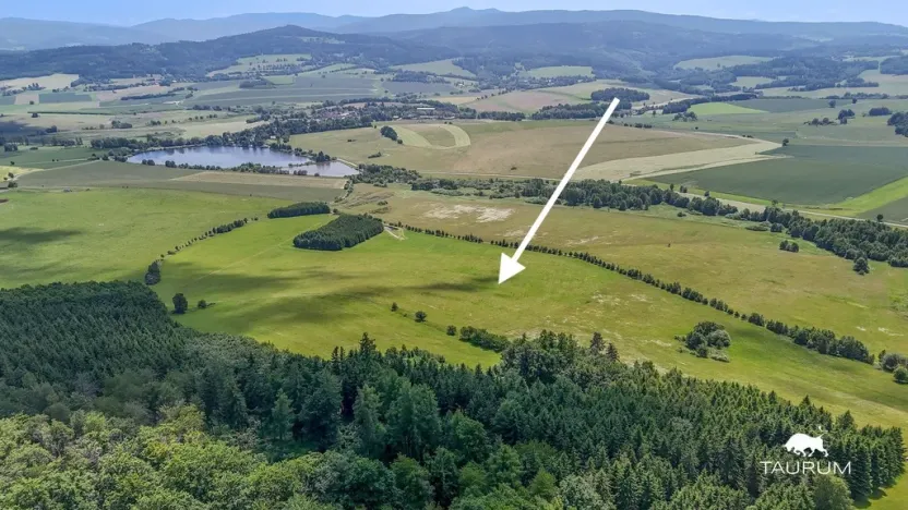 Prodej pozemku, Chudenín, 139968 m2