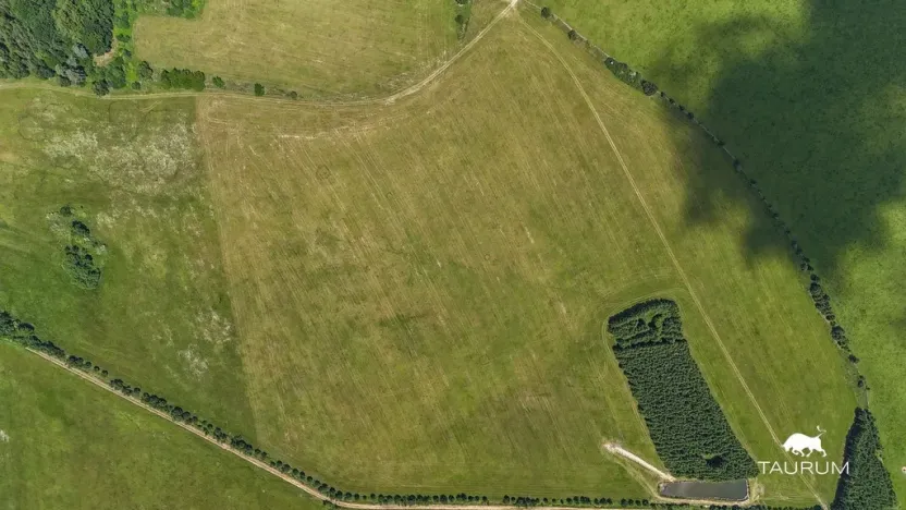 Prodej pozemku, Chudenín, 139968 m2