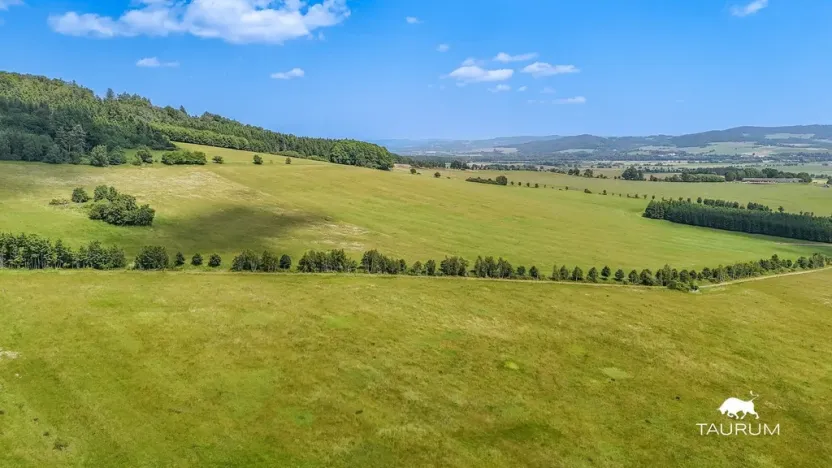 Prodej pozemku, Chudenín, 139968 m2