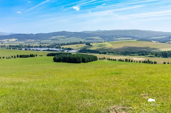 Prodej pozemku, Chudenín, 139968 m2