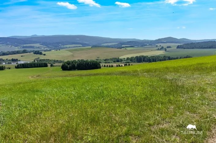 Prodej pozemku, Chudenín, 139968 m2