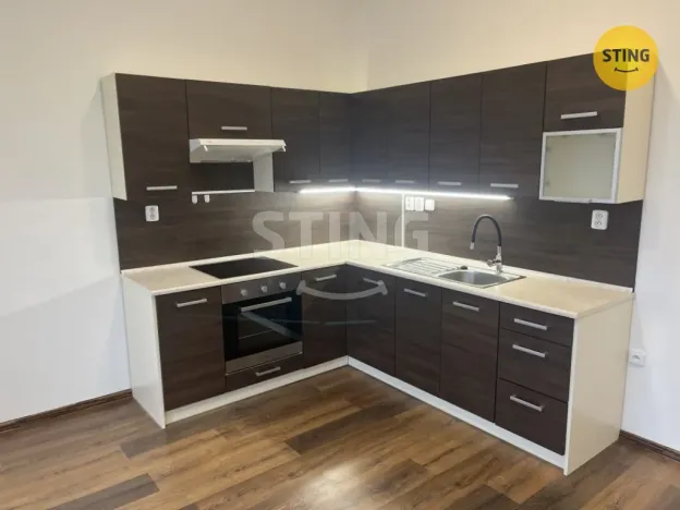 Pronájem bytu 2+kk, Opava, Hviezdoslavova, 52 m2