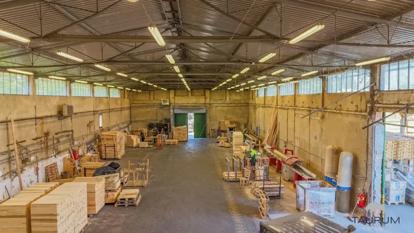 Prodej výrobních prostor, Vojkovice, 12027 m2