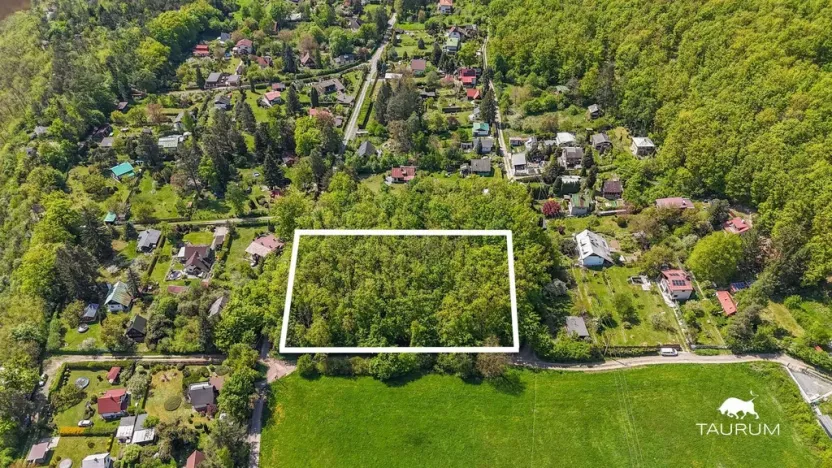 Prodej lesa, Petrov, 6490 m2