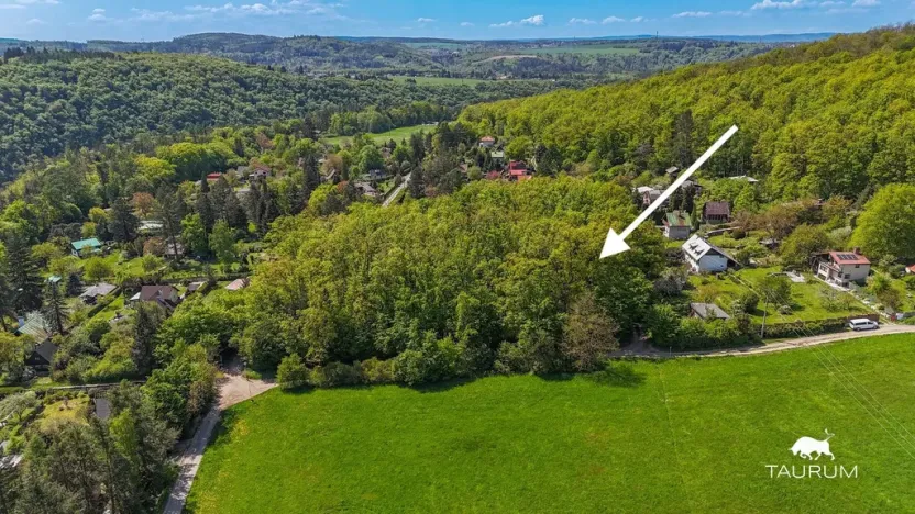 Prodej lesa, Petrov, 6490 m2