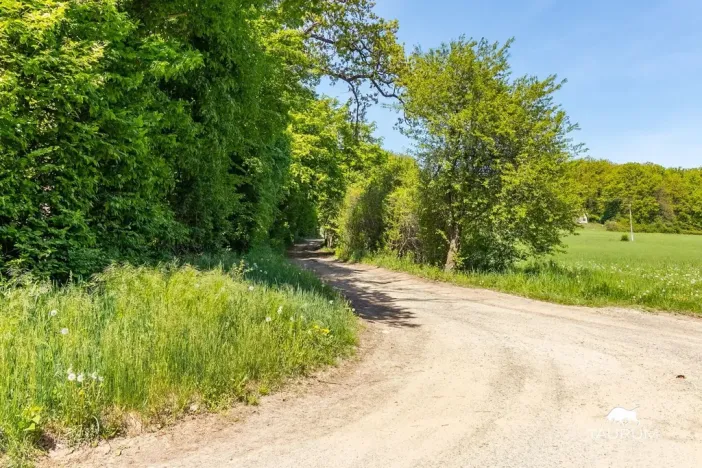 Prodej lesa, Petrov, 6490 m2