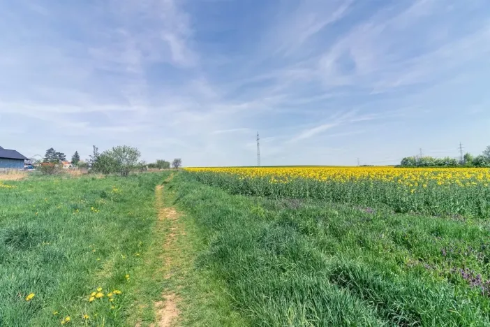 Prodej pozemku pro bydlení, Stříbro, 7355 m2