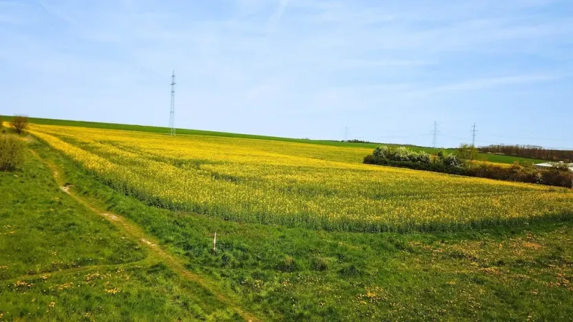 Prodej pozemku pro bydlení, Stříbro, 7355 m2