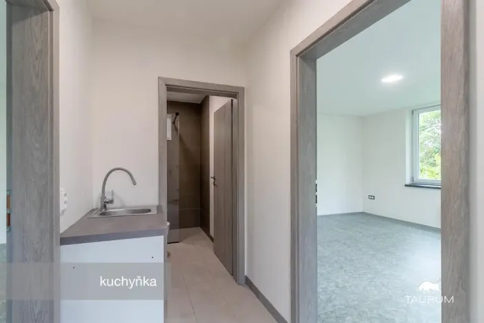 Prodej kanceláře, Plzeň - Jižní Předměstí, Kaplířova, 50 m2