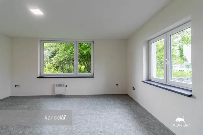 Prodej kanceláře, Plzeň - Jižní Předměstí, Kaplířova, 50 m2
