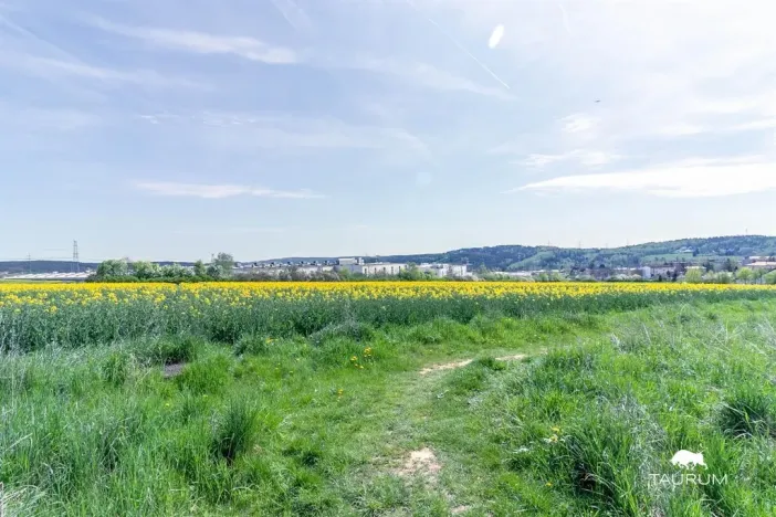 Prodej komerčního pozemku, Stříbro, 7355 m2