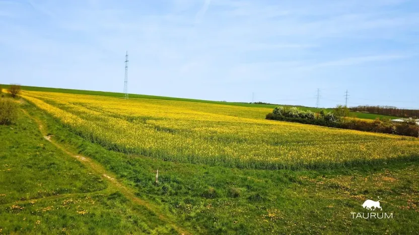Prodej komerčního pozemku, Stříbro, 7355 m2