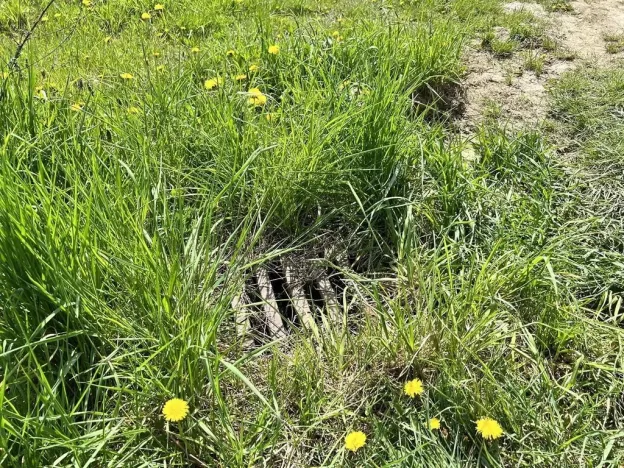 Prodej komerčního pozemku, Stříbro, 7355 m2