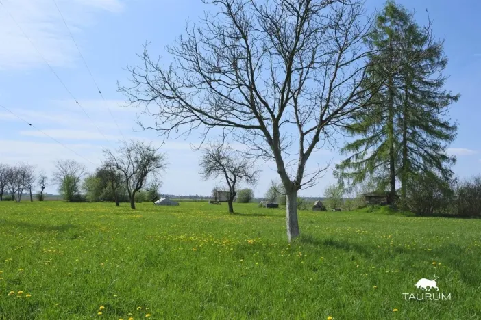 Prodej komerční nemovitosti, Ostrava - Svinov, Ostravská, 1000 m2