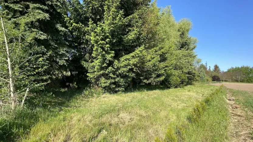 Prodej pozemku pro bydlení, Plzeň, 1019 m2