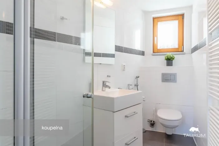 Prodej rodinného domu, Ústí nad Labem - Střekov, Novoveská, 176 m2