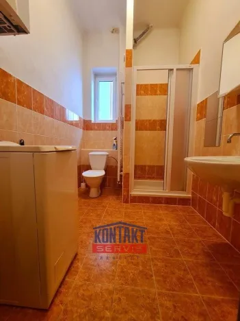 Pronájem bytu 1+kk, České Budějovice - České Budějovice 3, 32 m2