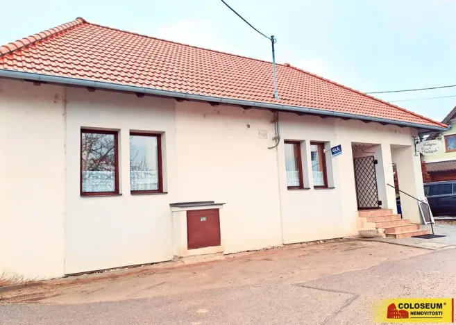 Pronájem obchodního prostoru, Dyje, 69 m2