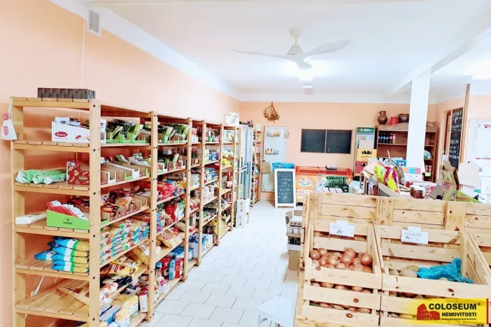 Pronájem obchodního prostoru, Dyje, 69 m2