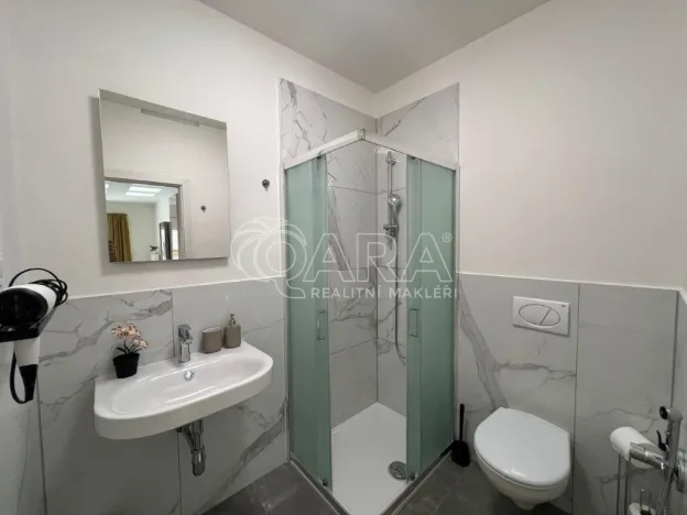 Prodej bytu 1+kk, Praha, Plzeňská, 52 m2