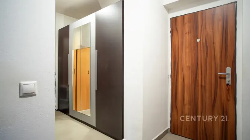 Prodej bytu 2+kk, Plzeň, U Velkého rybníka, 58 m2