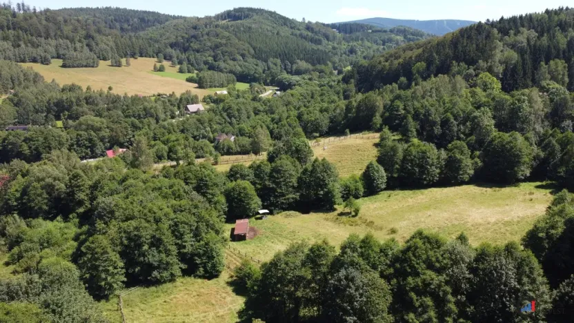 Prodej pozemku pro bydlení, Olešnice v Orlických horách, 3118 m2
