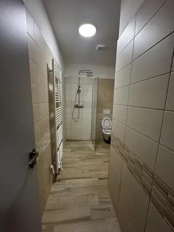 Pronájem bytu 2+kk, Plaňany, 44 m2