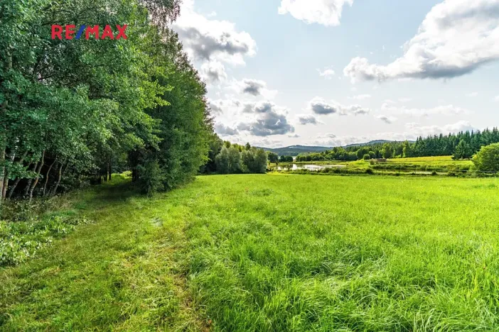 Prodej komerčního pozemku, Nová Pec, 9752 m2