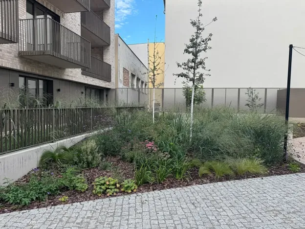 Pronájem bytu 2+kk, Brno, Bratislavská, 57 m2