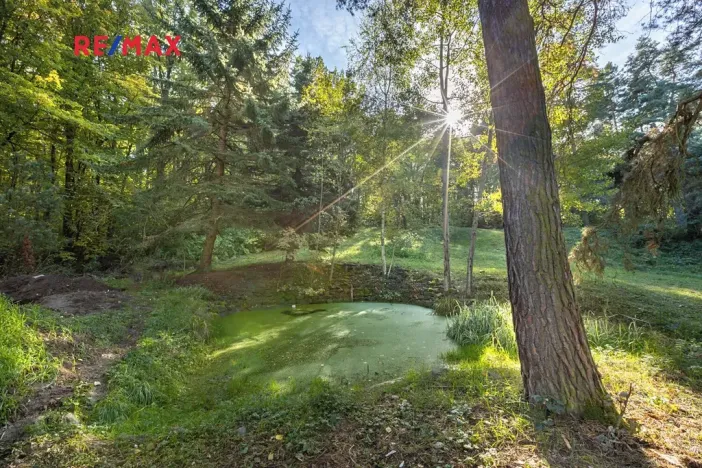 Prodej lesa, Praha - Malá Chuchle, 17570 m2