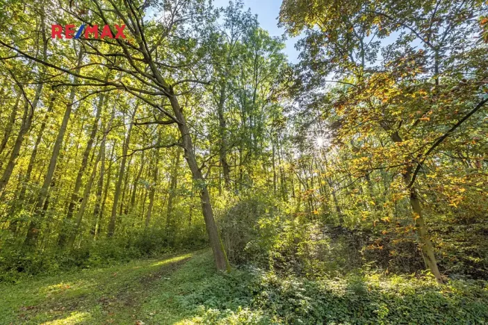 Prodej lesa, Praha - Malá Chuchle, 17570 m2