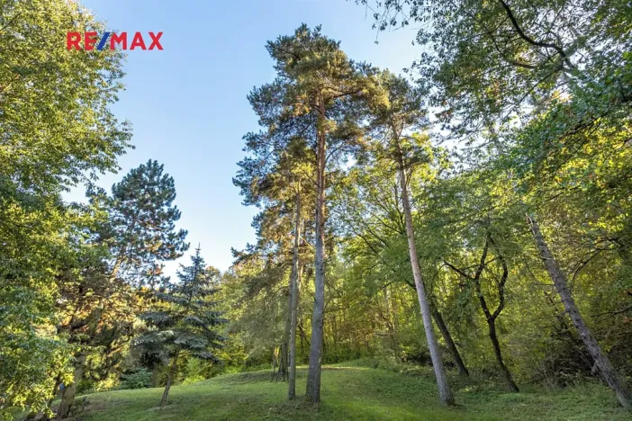 Prodej lesa, Praha - Malá Chuchle, 17570 m2