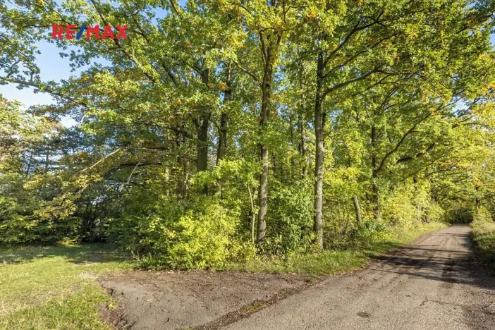 Prodej lesa, Praha - Malá Chuchle, 17570 m2