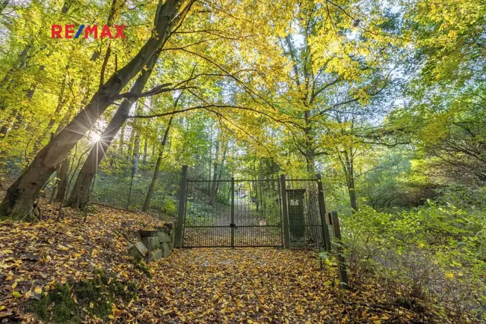 Prodej lesa, Praha - Malá Chuchle, 17570 m2