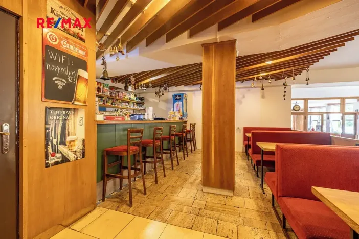 Prodej ubytování, Doksy, Pod Borným, 1700 m2